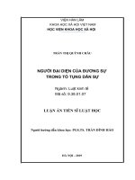 Người đại diện của đương sự trong tố tụng dân sự việt nam hiện nay 