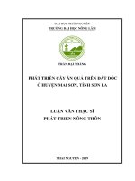 Phát triển cây ăn quả trên đất dốc ở huyện mai sơn, tỉnh sơn la (luận văn thạc sĩ) 