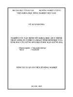 Nghiên cứu xác định tên khoa học, quy trình nhân giống in vitro và hoạt tính sinh học của tinh dầu cây gừng bản địa ở bắc kạn (gừng đá) tt 