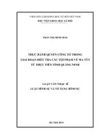 Thực hành quyền công tố trong giai đoạn điều tra các tội phạm về ma túy từ thực tiễn tỉnh Quảng Ninh (Luận văn thạc sĩ)