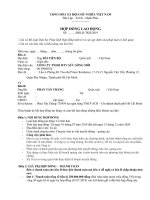 hợp đồng lao động mẫu