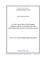Tổ chức hoạt động trải nghiệm cho học sinh ở các trường tiểu học thành phố thái nguyên, tỉnh thái nguyên 