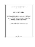Hoàn thiện quy trình quản trị rủi ro tín dụng tại ngân hàng thương mại trách nhiệm hữu hạn một thành viên đại dương 