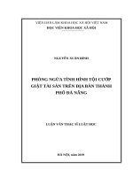Phòng ngừa tình hình tội cướp giật tài sản trên địa bàn thành phố đà nẵng 