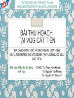 Bài thu hoạch môn bảo tồn đa dạng sinh học đa dạng sinh học và những đe dọa hiện hữu, tiềm năng đối với đa dạng sinh học tại vườn quốc gia cát tiên