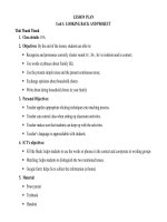 Giáo án Tiếng Anh 10 thí điểm tập 2 unit 1 looking back and project