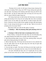 chuyen de phuong trinh vo ty thay loi