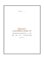 26  noi quy cong ty