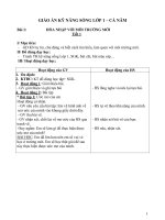 GIAO AN KY NANG SONG LOP 1 – CA NAM 