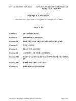 Noi quy lao dong (ban hanh lan 2)   nam 2009