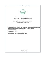Nghiên cứu điều kiện lên men và phương pháp tách chiết chất kháng sinh diệt nấm gây bệnh thực vật từ vi khuẩn bacillus amyloliquefaciensb 