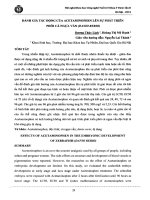 Đánh giá tác động của acetaminophen lên sự phát triển phôi cá ngựa vằn (danio rerio) 