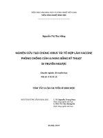 Nghiên cứu tạo chủng virus tái tổ hợp làm vaccine phòng chống cúm a h5n1 bằng kỹ thuật di truyền ngược tt