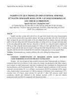 Nghiên cứu quá trình lên men ethanol sinh học từ nguồn sinh khối rong nước lợ chaetomorpha sp  sau trích ly prroteinnguyễn thị liên, hoàng kim anh, tạp chí khoa học đại học thủ dầu một, số