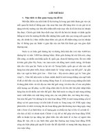 Các hình thức gian lận trong hoạt động xuất nhập khẩu tại việt nam hiện nay và giải pháp kiểm soát