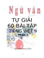 60 bai tap tieng viet 9 p1 