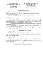 de thi GVG cap huyen mon ngu van