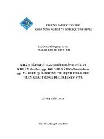 KHẢO SÁT KHẢ NĂNG ĐỐI KHÁNG CỦA VI KHUẨN Bacillus spp. ĐỐI VỚI NẤM Colletotrichum spp. VÀ HIỆU QUẢ PHÒNG TRỊ BỆNH THÁN THƯ TRÊN XOÀI TRONG ĐIỀU KIỆN IN VIVO