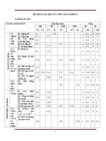 Đề kiểm tra học kì I môn toán 10 trắc nghiệm+tự luận