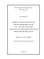 Nghiên cứu khả năng hấp thụ thuốc omeprazole natri của vật liệu cellulose tạo ra từ gluconacetobacter xylinus nuôi cấy trong môi trường chuẩn 