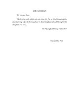 KHẢO sát TÌNH HÌNH dự PHÒNG THUYÊN tắc HUYẾT KHỐI TĨNH MẠCH ở một số BỆNH NHÂN UNG THƯ NGUY cơ CAO tại BỆNH VIỆN đại học y hà nội 