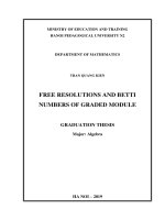 Free resolutions and betti numbers of graded module 