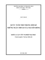 Kí ức tuổi thơ trong hồi kí những ngày thơ ấu của nguyên hồng 