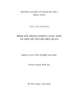Hình lồi trong không gian afin và một số vấn đề liên quan 