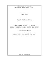 Tích phân p adic và hàm zeta p adic của đa thức hai biến 