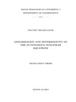 Linearization and hyperbolicity of the autonomous nonlinear equations 