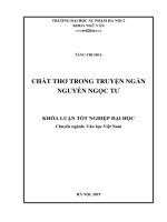 Chất thơ trong truyện ngắn nguyễn ngọc tư 
