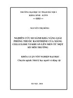 Nghiên cứu khả năng giải phóng thuốc ranitidine của màng cellulose vi khuẩn nên men từ một số môi trường 