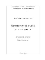 Geometry of cubic polynomials 