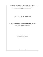 Dual linear programming problem and its applications 
