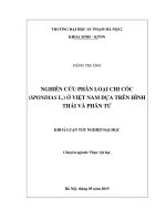 Nghiên cứu phân loại chi cóc (spondias l ) ở việt nam dựa trên hình thái và phân tử 