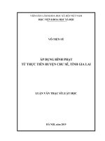 Áp dụng hình phạt từ thực tiễn huyện Chư Sê, tỉnh Gia Lai (Luận văn thạc sĩ)