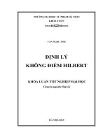 Định lý không điểm hilbert 