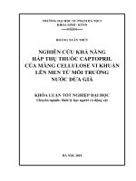 Nghiên cứu khả năng hấp thụ thuốc captopril của màng cellulose vi khuẩn lên men từ môi trường nước dừa già 