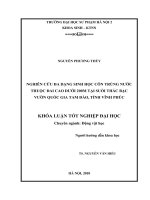 Nghiên cứu đa dạng sinh học côn trùng nước thuộc đai cao dưới 200m tại suối thác bạc, vườn quốc gia tam đảo, tỉnh vĩnh phúc 