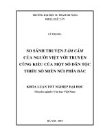 So sánh truyện tấm cám của người việt với truyện cùng kiểu của một số dân tộc thiểu số miền núi phía bắc 