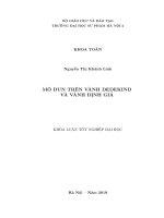 Mô đun trên vành dedekind và vành định giá 