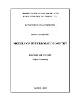 Models of hyperbolic geometry 