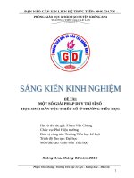 skkn một số giải pháp duy trì sĩ số học sinh dân tộc thiểu số ở trường tiểu học 
