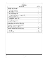 Một số giải pháp dạy tốt môn mĩ thuật theo phương pháp Đan Mạch”