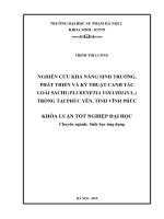 Nghiên cứu khả năng sinh trưởng, phát triển và kỹ thuật canh tác loài sachi (plukenetia volubilis l ) trồng tại phúc yên, tỉnh vĩnh phúc 