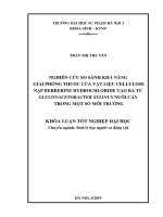 Nghiên cứu so sánh khả năng giải phóng thuốc của vật liệu cellulose nạp berberine hydrochloride tạo ra từ gluconacetobacter xylinus nuôi cấy trong một số môi trường 