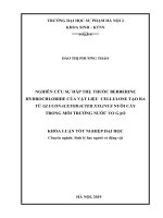 Nghiên cứu khả năng hấp thụ thuốc berberine hydrochloride của vật liệu cellulose tạo ra từ gluconacetobacter xylinus nuôi cấy trong môi trường nước vo gạo 