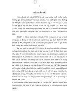 Vai trò của e  coli mang gien pap, afa trong nhiễm khuẩn tiết niệu ở bệnh viện thanh nhàn, hà nội từ tháng 01 năm 2007 đến tháng 06 năm 2008 