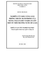 Nghiên cứu khả năng giải phóng thuốc ranitidine của màng cellulose vi khuẩn lên men từ môi trường nước dừa già 