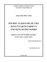 Tìm hiểu về khai phá dữ liệu bằng cây quyết định và ứng dụng hướng nghiệp 